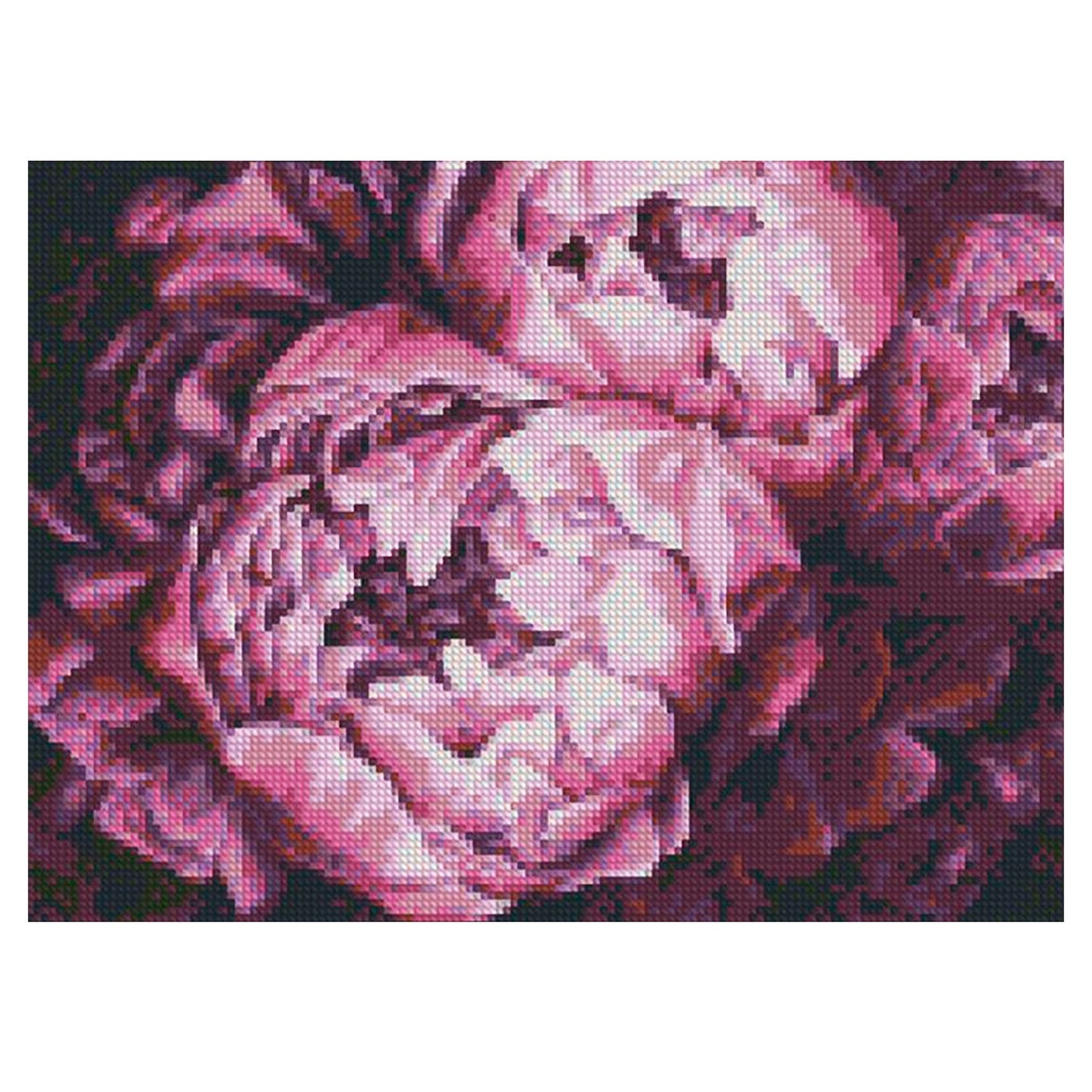 

Картина по номерам Идейка Алмазная мозаика Королевские пионы 30х40см