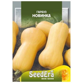 Насіння Seedera Гарбуз Новинка 3г