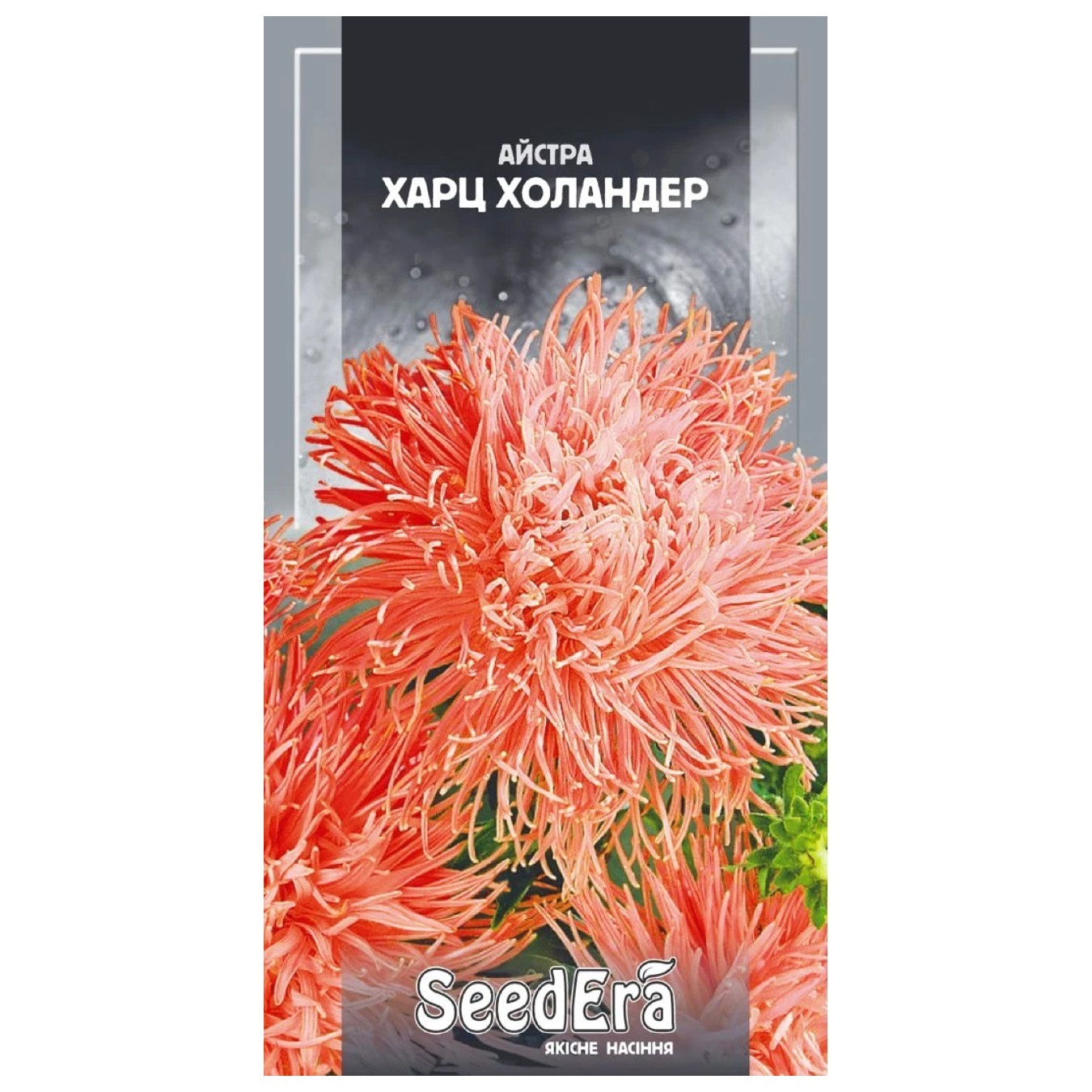 

Квіти Seedera Айстра високоросла Харц Холандер 0,25г