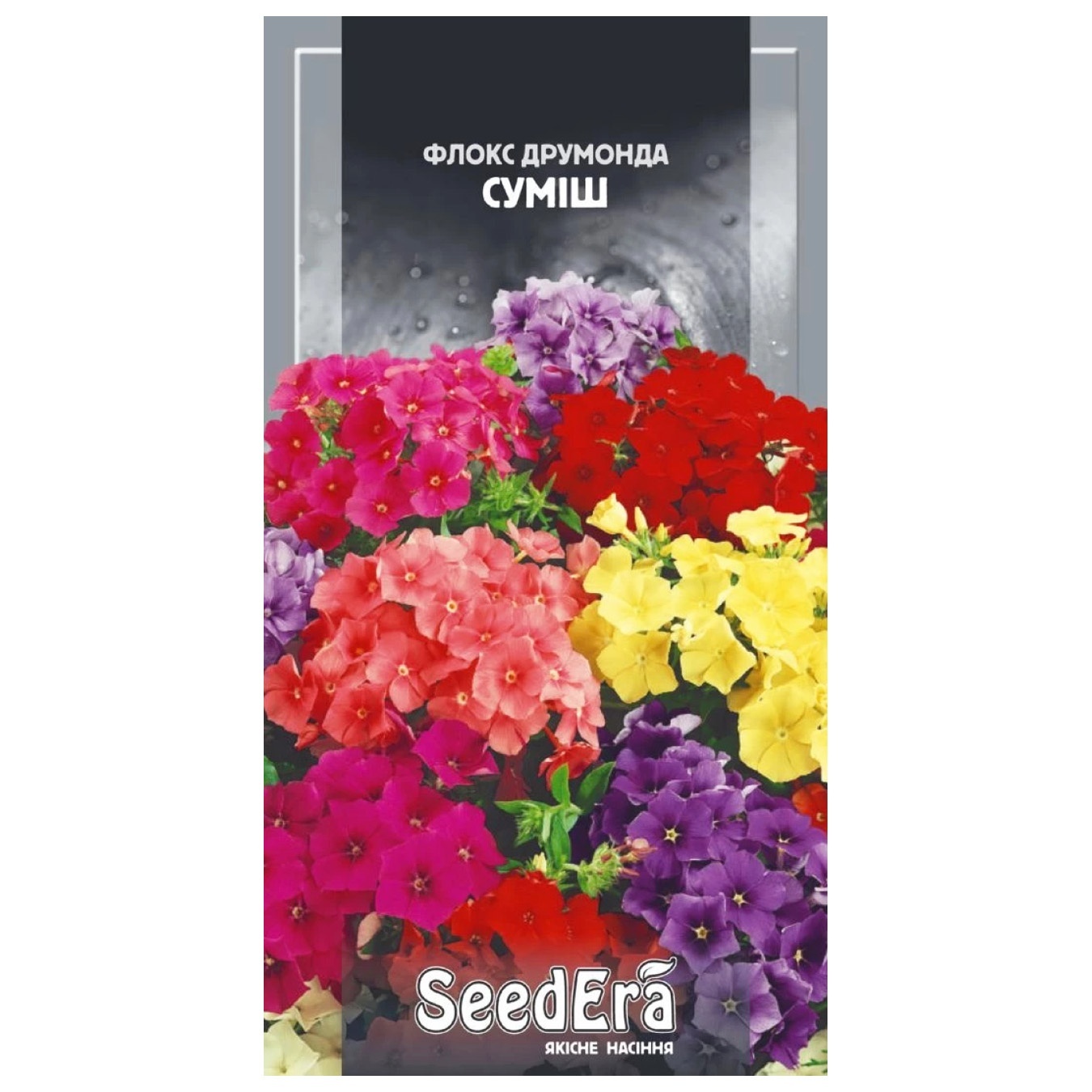 

Семена Seedera Цветы Флокс Друмонда смесь 0,2г