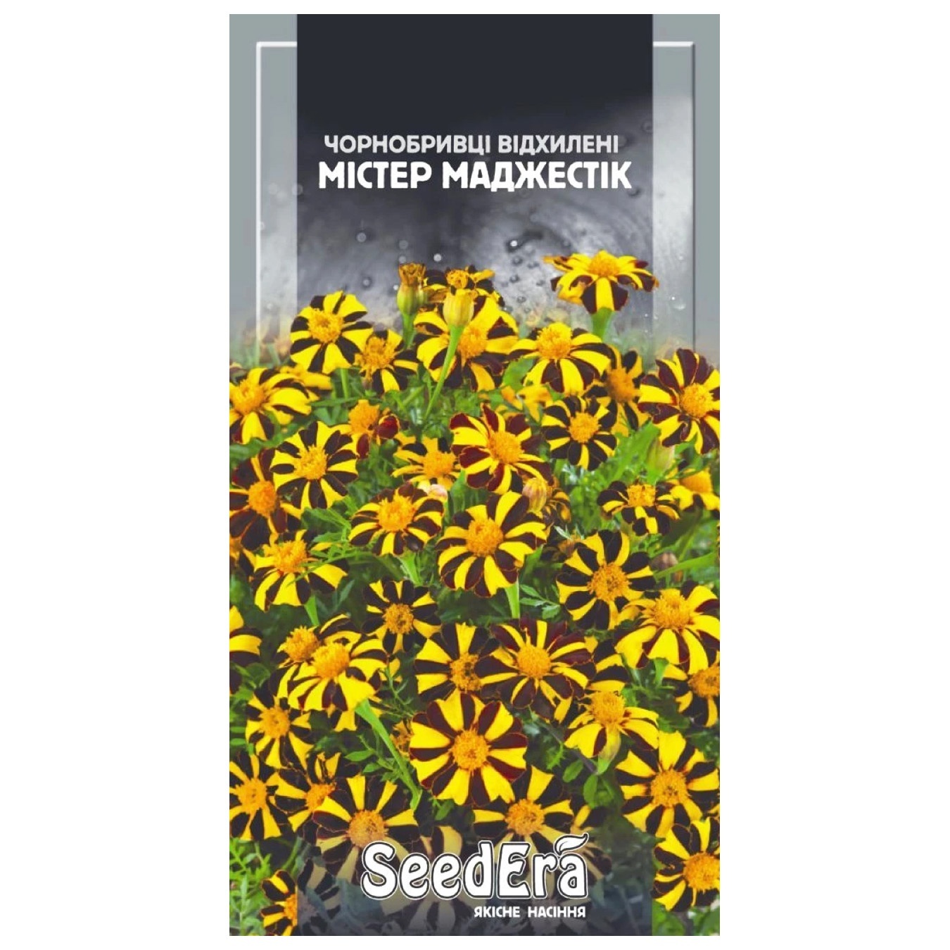 

Квіти Seedera Чорнобривці відхилені Містер Маджестик 0,5г