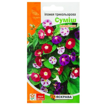 Насіння Яскрава Іпомея трикольорова суміш 1г - купити, ціни на Auchan - фото 1