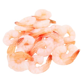 shrimp