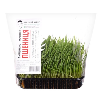 Green Chief Wheat Microgreens - buy, prices for Ideal - photo 1