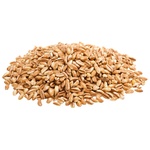 Barley Groats