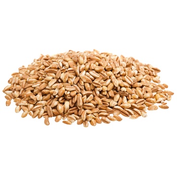 Barley Groats - buy, prices for Tavria V - photo 1