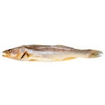 Sun Dried Cleaned Pike Perch