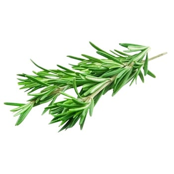 Rosemary 50g - buy, prices for - photo 4