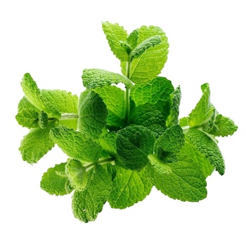 Mint 50g - buy, prices for - photo 4