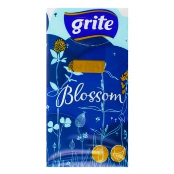 Grite Napkins Daily Pocket Paper 10pcs - buy, prices for Auchan - photo 1