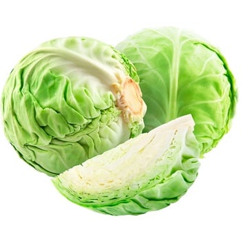 Import Young Cabbage by Weight