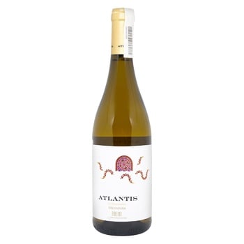 Atlantis Treixadura White Dry Wine 12.5% 0.75l - buy, prices for WINETIME - photo 1