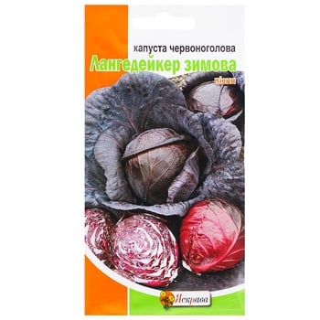 Yaskrava Winter Langedeiker Red Cabbage Seeds 0.5g - buy, prices for Auchan - photo 1