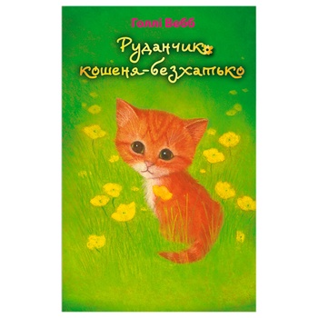 Book Holly Webb. Rudanchyk Homeless Kitten - buy, prices for - photo 1