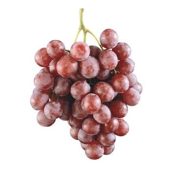 Red Globe Grape - buy, prices for WINETIME - photo 1