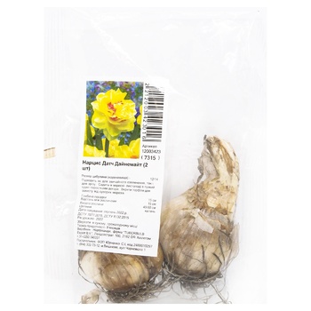 bulb narcissus 2pcs