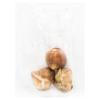 Rimini Triumph Tulip Bulb 3pcs - buy, prices for ULTRAMARKET - photo 2