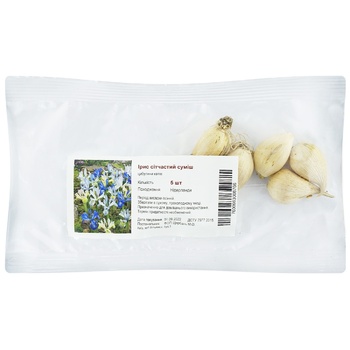 Ирис сетчатый 5шт - купить, цены на - фото 1