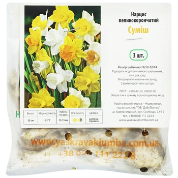 Mix Large-crowned Narcissus 3pcs - buy, prices for Auchan - photo 1