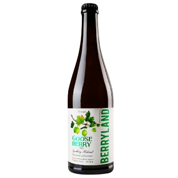 Berryland Gooseberry Sparkling Dry Honey 7-7.5% 0.75l - buy, prices for WINETIME - photo 1