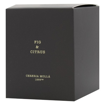 Cereria Molla Premium Fig & Citrus Scented Candle 230g - buy, prices for WINETIME - photo 1