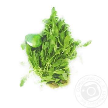 Vershky Ta Korintsi Arugula with Root 70g - buy, prices for ULTRAMARKET - photo 2