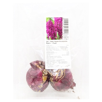 Bulbs of Hyacinth Woodstock 2pcs - buy, prices for MegaMarket - photo 1