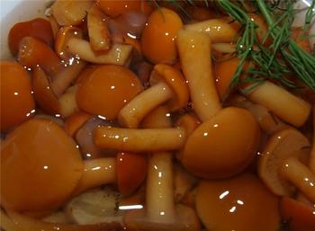 Мариновані опеньки