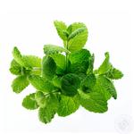 Greens mint fresh 80g