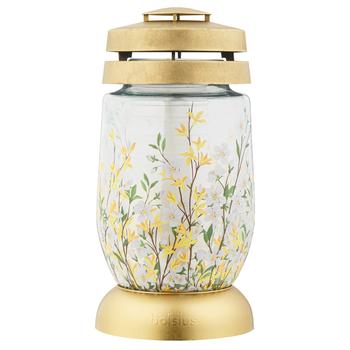 Лампадка Bolsius Форзиция 224мм 36 годин - купить, цены на NOVUS - фото 1