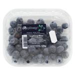 San Lucar Fresh Blueberry 125g