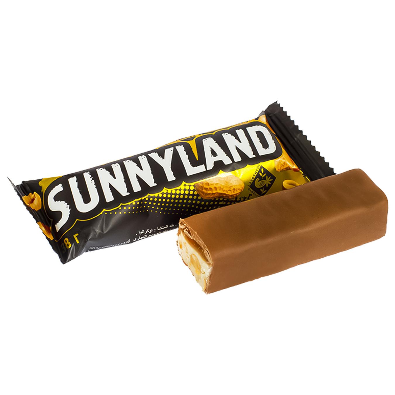 

Конфеты Житомирские ласощи Sunnyland 38г