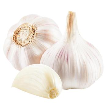 Garlic - buy, prices for Vostorg - photo 1