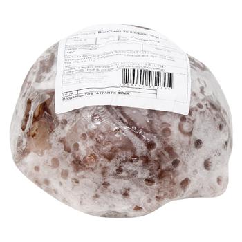 Fresh Frozen Beaten Octopus - buy, prices for - photo 1