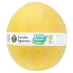 Organic Galia Melon