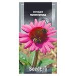 Seedera Flowers Echinacea Purple Perennial Seeds 0.5g