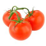 Tomato on Branch
