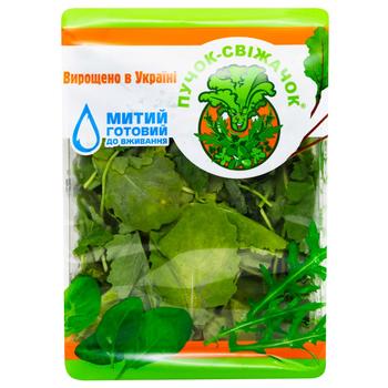 Puchok-Svizhachok Kale Cabbage Lettuce 100g - buy, prices for NOVUS - photo 1