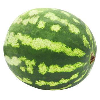 Organic Watermelon - buy, prices for NOVUS - photo 1