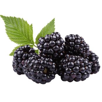 Flora Blackberry 250g - buy, prices for METRO - photo 3