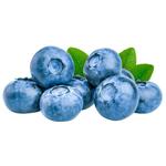 Berry blueberry fresh Ukraine