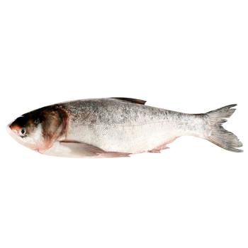 Chilled Gutted Silver Carp 2+ - buy, prices for - photo 1