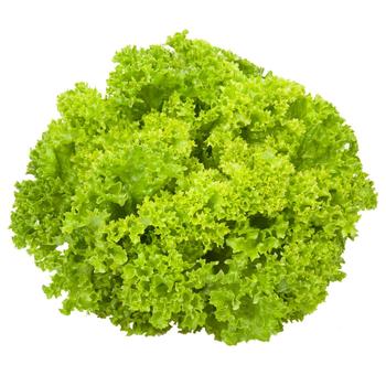 Lolo Bionda Lettuce - buy, prices for Supermarket "Kharkiv" - photo 1