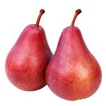 Груша Конференция красная