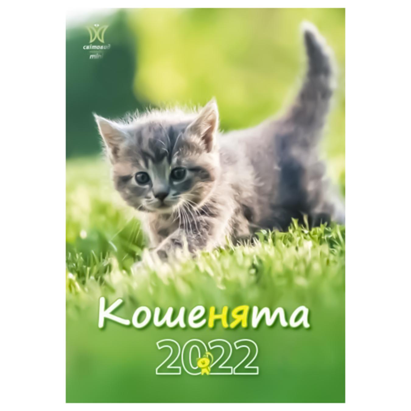 

Книга Календар Світовид міні 2022 Кошенята