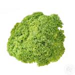 Greens lettuce lollo bionda fresh