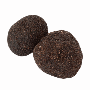 Трюфель чорний їстівний