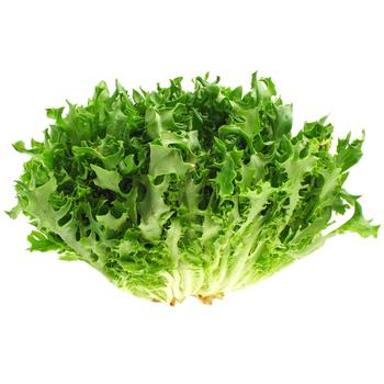 Frisee Lettuce