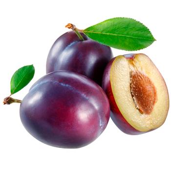 Ukrainian Plum