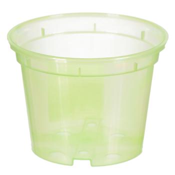 Aleana Light Green Drainage Transparent Flowerpot 9x6.5cm